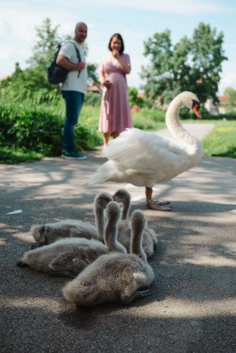 TinaMitja1_2024-JG-21